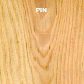 pin