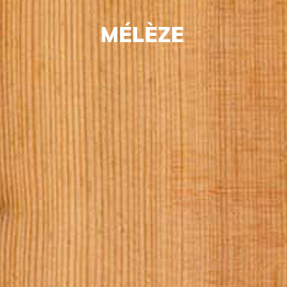 mélèze