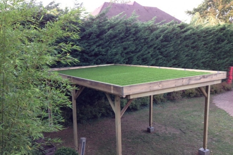 195-carport-en-pin-a-ecully-rhone