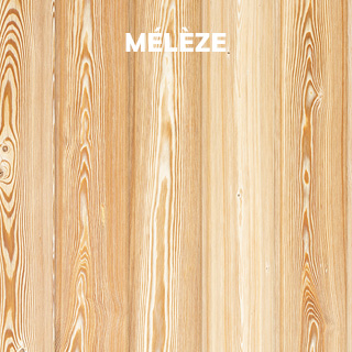 mélèze