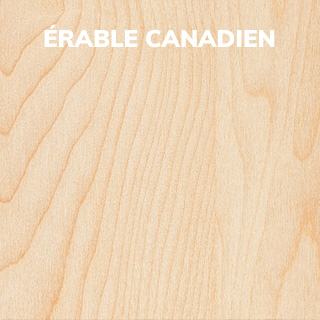 érable canadien